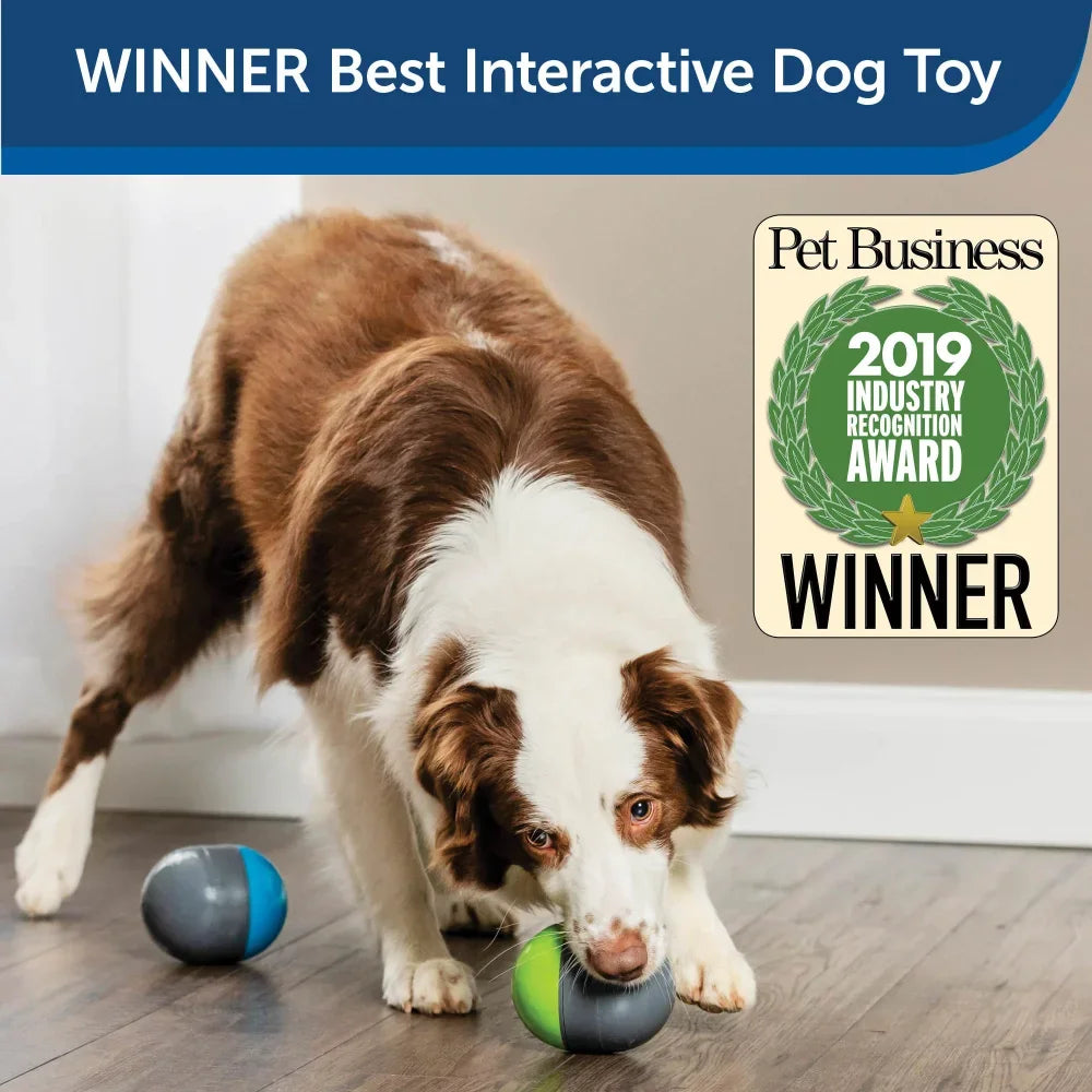 Dog Toys 2 Smart Paired Toys Battery-Operated