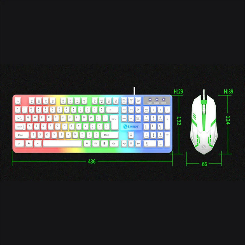 2024 New Illuminated keyboard and Mouse