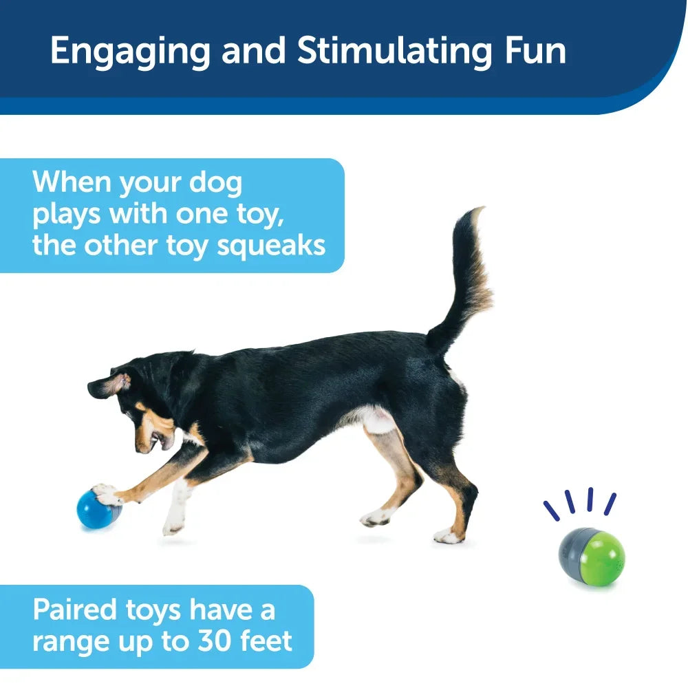 Dog Toys 2 Smart Paired Toys Battery-Operated